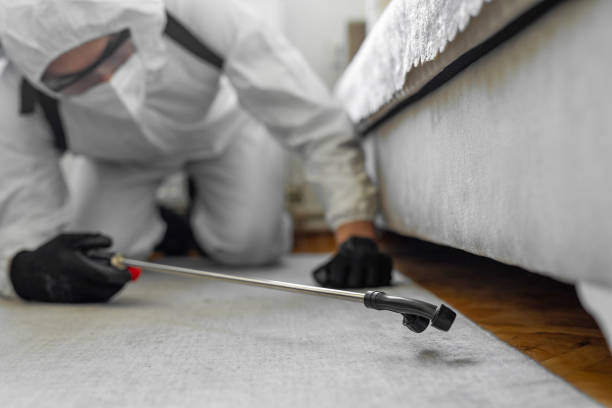 Professional Cockroach Control technician working in Westchester, IL